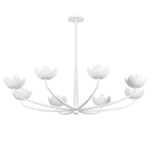 ARCATA Chandelier