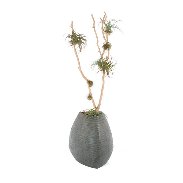 Redwood & Tillandsia Mix in Trapezoid Planter
