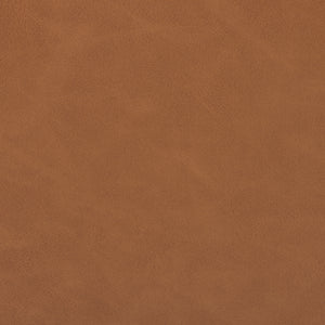 Reuben Dining Chair In Sierra Butterscotch