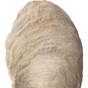 Oyster Shell Sculptures