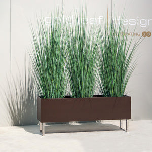 Tall Japanese Grass in Custom Rectangle Planter