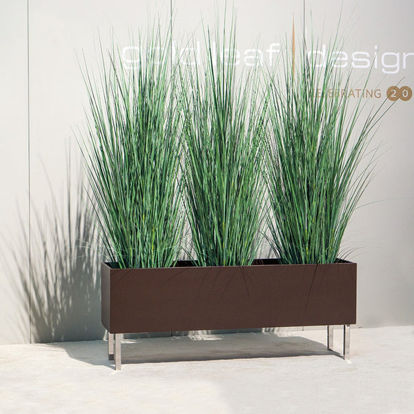 Tall Japanese Grass in Custom Rectangle Planter