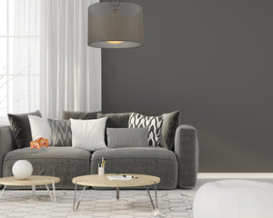 Arosia 1 Light Pendant in Chrome Finish