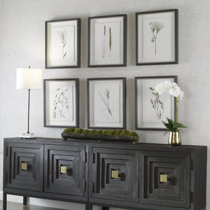 Forest Finds Framed Prints, S/6