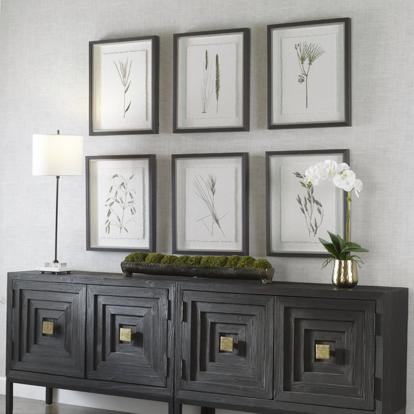 Forest Finds Framed Prints, S/6