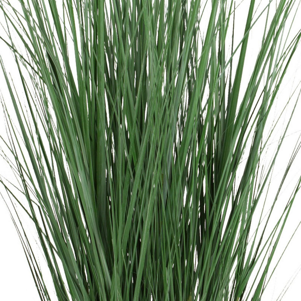 Potted Bluestem Grass