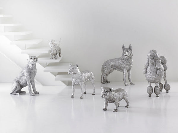 Pitbull Dog, Silver Leaf