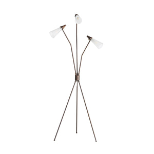 Ludwig Floor Lamp In Rust And Frosted Glass And Clear Cord