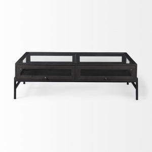 Arelius 42"L Rectangular Glass-Top Black-Brown Wood w/ Black Metal Base Display Coffee Table