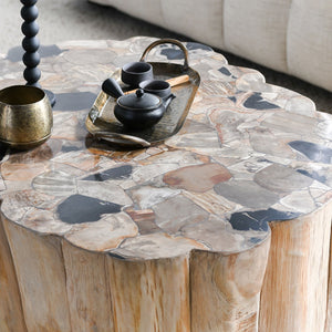 Norwest Solid Wood Coffee Table with Teak & Petrified Wood