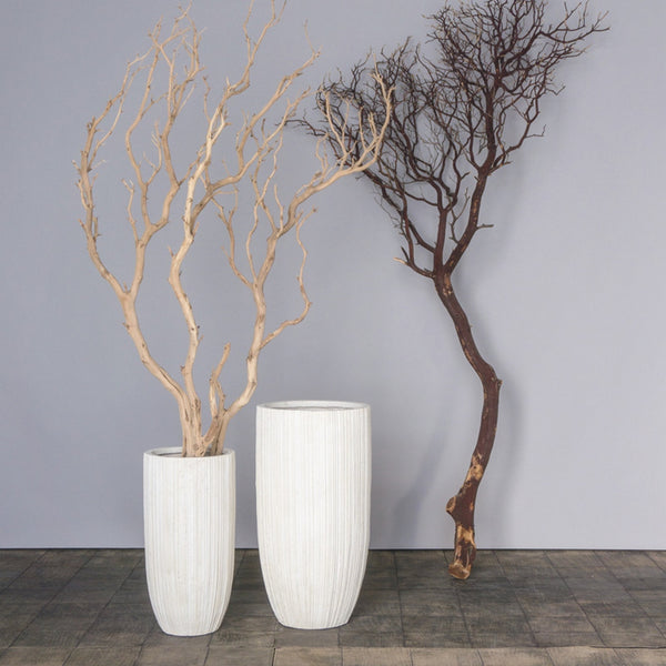 Sandblasted Manzanita Tree in Small Linea Planter