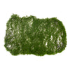 Moss Clump 9.5" x 7"