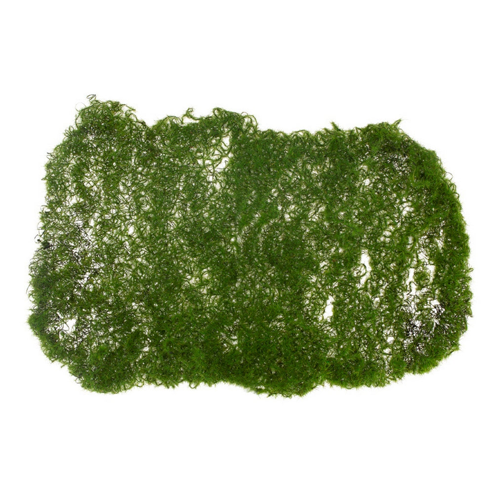 Moss Clump 9.5" x 7"