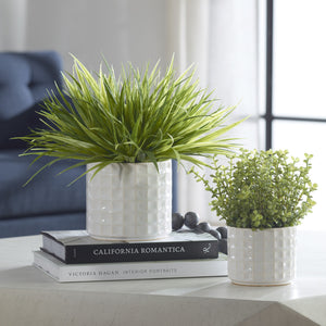 Edgewood Greenery, Set/2