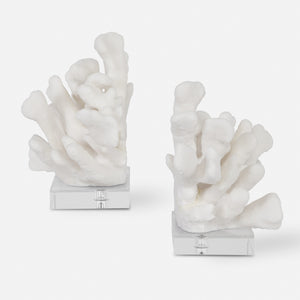 Charbel Bookends