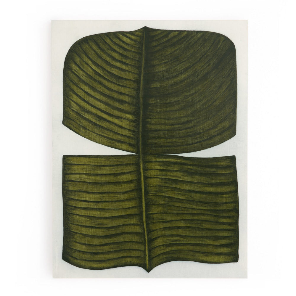 Ficus Elastica By Marianne Hendriks