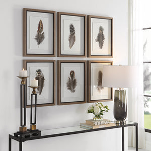 Birds Of A Feather Framed Prints, S/6