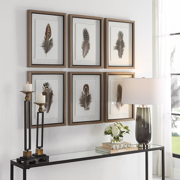 Birds Of A Feather Framed Prints, S/6