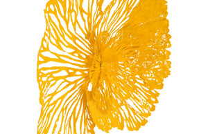 Flower Wall Art, Dandelion, MD
