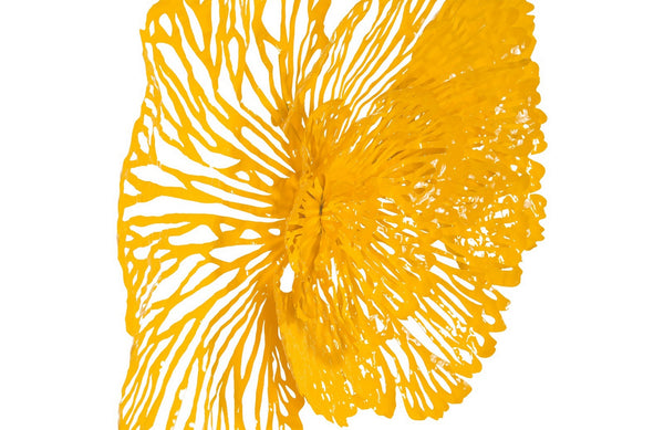 Flower Wall Art, Dandelion, MD
