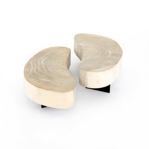 Avett Coffee Table In Bleached Guanacaste