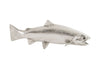 Rainbow Trout Fish, Silver Leaf