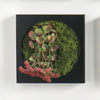 Mini Green Wall 12"SQ Kalanchoe Flower
