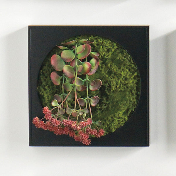 Mini Green Wall 12"SQ Kalanchoe Flower