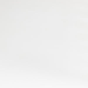 Bandera Dining Chair W/ Cushion In White