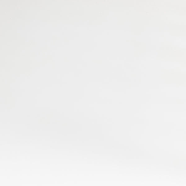 Bandera Dining Chair W/ Cushion In White