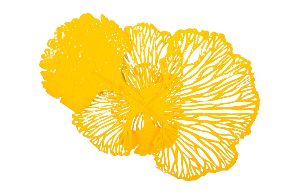 Flower Wall Art, Dandelion, MD