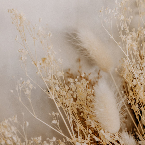 Dried Floral Dyptich By Annie Spratt