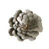 Metal Echeveria Plant, small