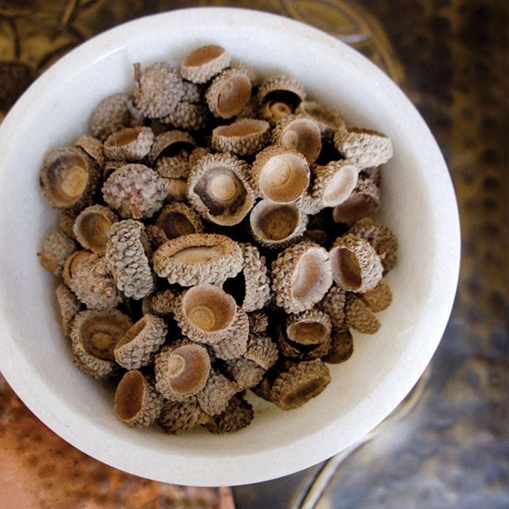 Acorn Caps, +/- 120 pieces