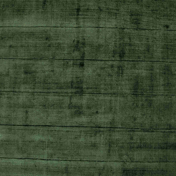 Sadzi Carved Rug 5x8' in Juniper Green