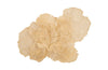 Flower Wall Art, Ivory, Large