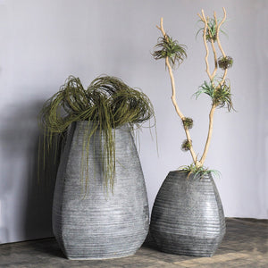Weeping Willow in LG Trapezoid Planter