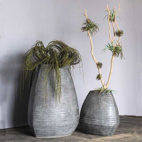 Weeping Willow in LG Trapezoid Planter