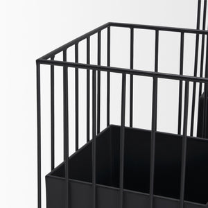 Verna Matte Black Wire Cage Metal Planters (Set of 2)