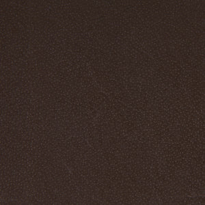 Clarissa 18.0L x 16.0W x 30.25H Dark Brown Woven Leather Seat W/ Black Metal Frame Bar Stool