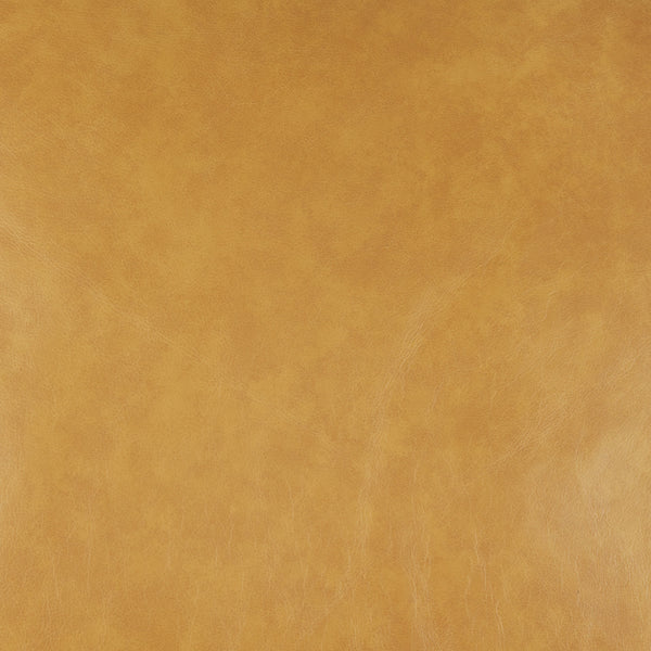 D'Arcy 88.0L x 37.0W x 34.0H Tan Leather Sofa