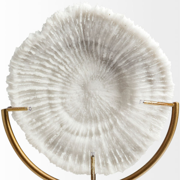 Sandy II (Medium) 6L x 3W White Coastal Sand Dollar Object