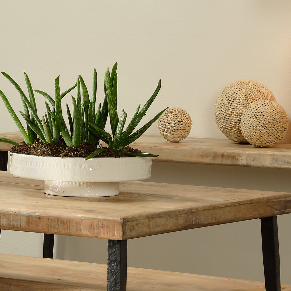 Coco Ceramic Decorative Pedestal
