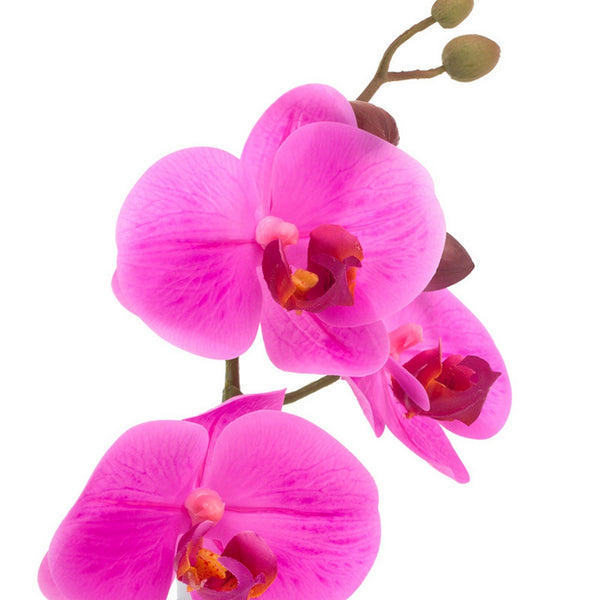 Orchid 10.5"H Budvase
