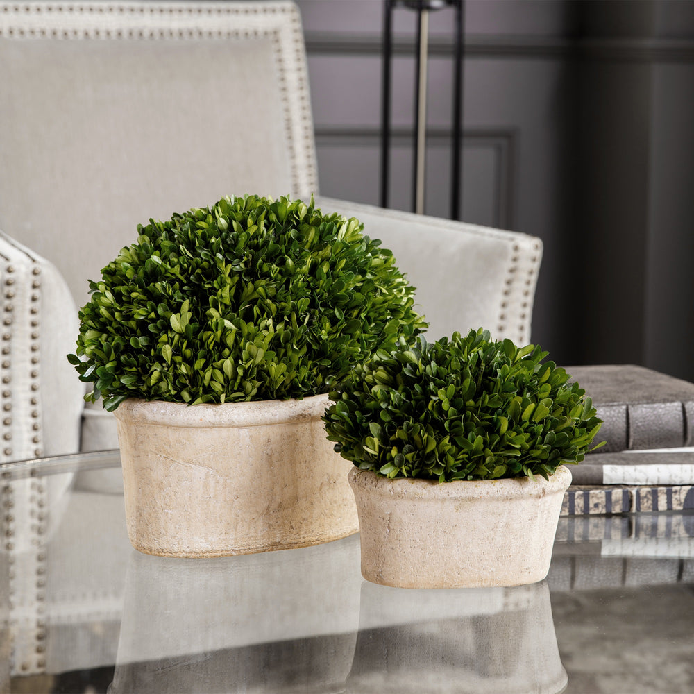 Oval Domes Preserved Boxwood Set/2