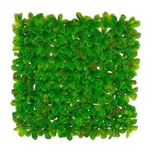 Succulent Mat