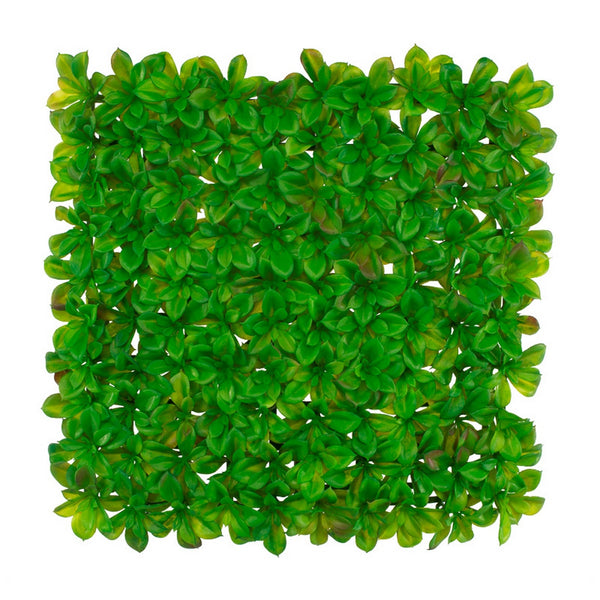 Succulent Mat