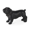 Hugo 5L x 13W Black Resin Bulldog