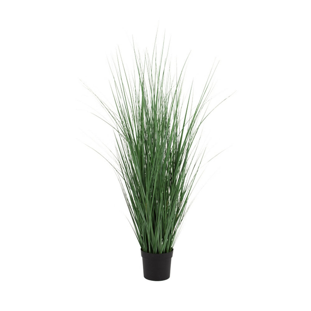Potted Bluestem Grass