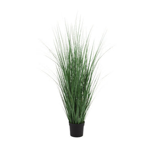 Potted Bluestem Grass